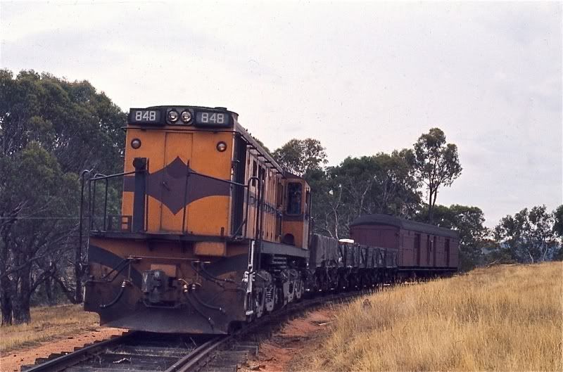 OBERON-BRANCH022.jpg